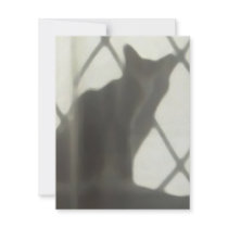 Cat's shadow in window custom announcement