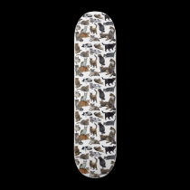Cats skateboards