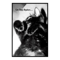 Cats Sleep Anywhere posters by creativeworks Cats Sleep Anywhere posters