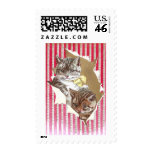 Cats Tear Through Wrapping Paper Postage Stamps