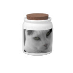 Cats Thoughts Candy Jars