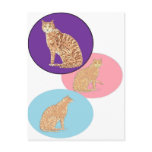 Cats, three, on varios products post card