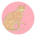 Cats, three, on varios products round stickers