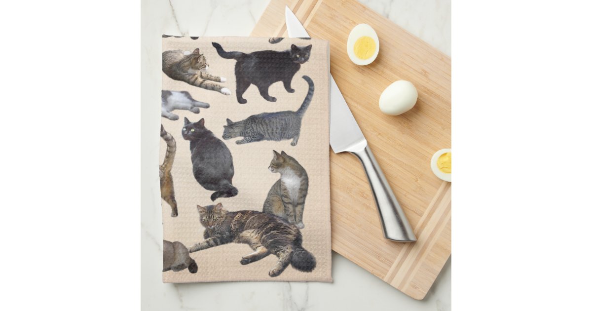 Cats Towel Zazzle