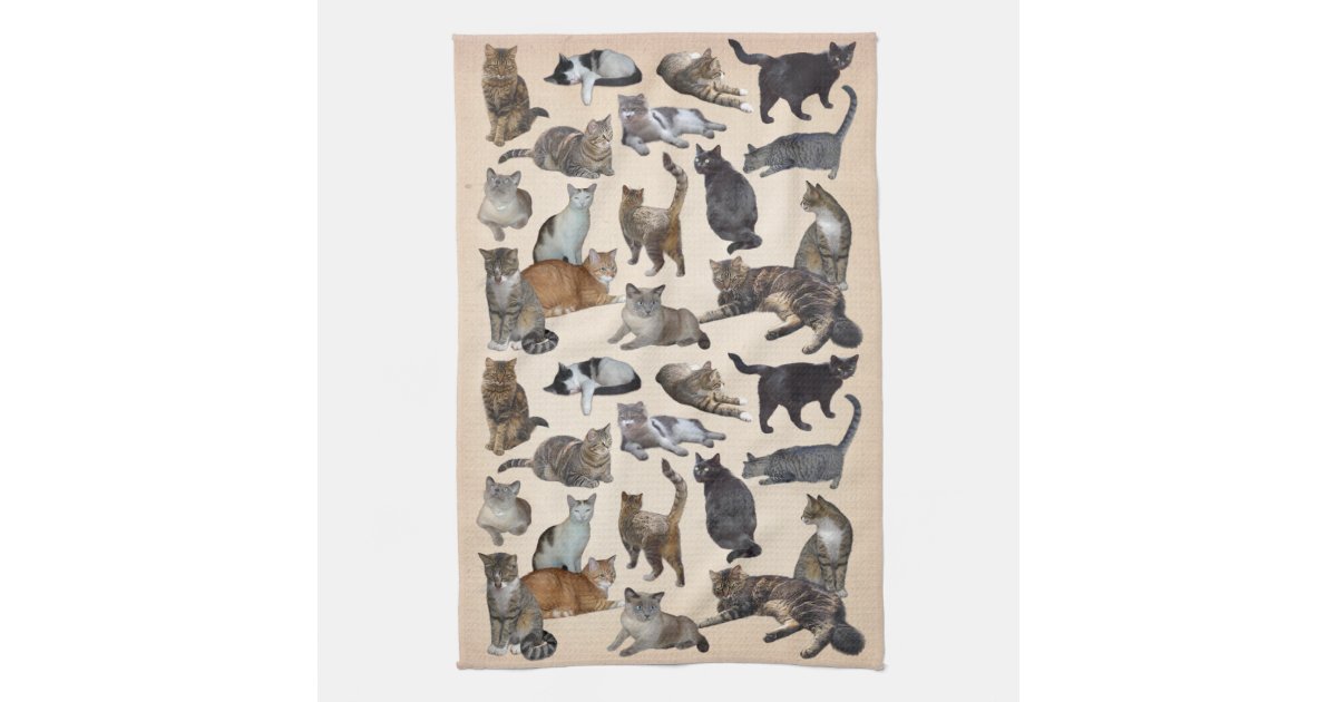 Cats Towel Zazzle