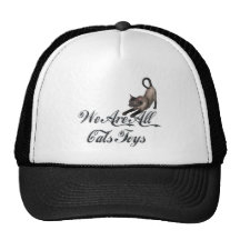 Cats Toys Hats