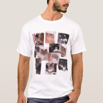 Cats t-shirts
