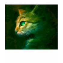 CATS t-shirts