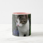 Cats Whiskers Coffee Mugs