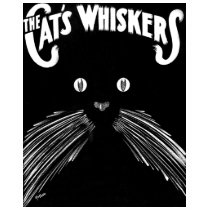 Cats Whiskers - Kitty Cat lovers Tees t-shirts
