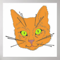 Cat's Whiskers Posters