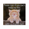 cats wish t-shirts