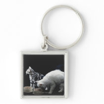 Cats with bowl of food keychains