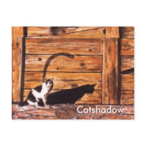 Catshadow postcards