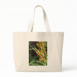Cattail at Sunset bags