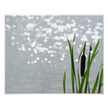 Cattail in Front of Lake Art Photo
