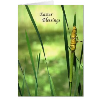 Cattail Pond Easter Greeting Card