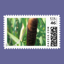 cattail stamps