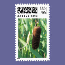 cattail stamps