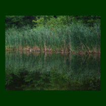 Cattail Reflections In Pond Nature Poster posters