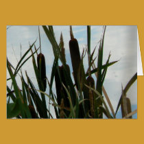 Cattail Silhouett cards by codfishlady Cattail Silhouett cards