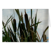 Cattail Silhouett cards
