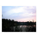 Cattail Sunset posters by coaster_cog Cattail Sunset posters
