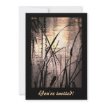 Cattails at Sunset Personalized Announcements