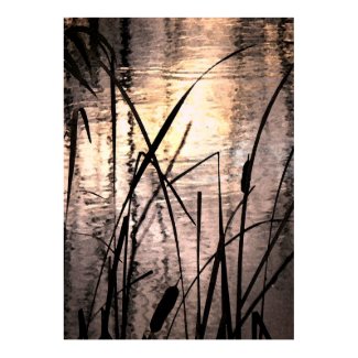 Cattails at Sunset print