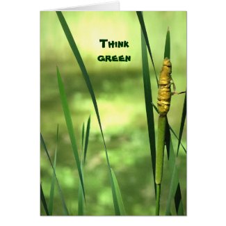 Cattails Earth Day card