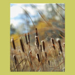 Cattails Framable Print photography