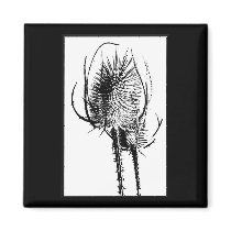 Cattails In Contrast Magnet by Sialicious Cattails In Contrast Magnet