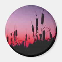 Cattails in the Sunset Fridge Magnet