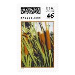 cattails stamp