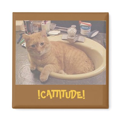!CATTITUDE!, (Or why I can't clean) Magnet