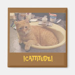 !CATTITUDE!, (Or why I can't clean) Magnet