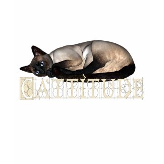 Cattitude shirt
