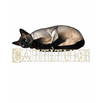 Cattitude t-shirts