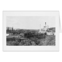 Cattle Barge Yukon River 1914 cards by lc_alaska Cattle Barge Yukon River 1914 cards