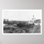 Cattle Barge Yukon River 1914 posters