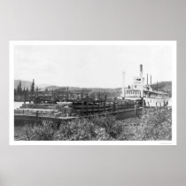 Cattle Barge Yukon River 1914 Poster