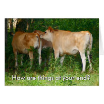 Cattle Card cards