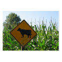 Cattle Crossing business cards