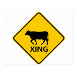 Cattle Crossing Highway Sign Postcard