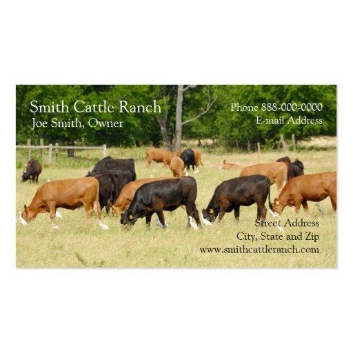 Cattle Dairy Farmer Business Card (front side)