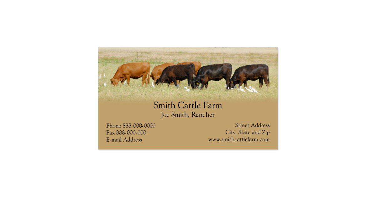 Cattle Dairy Farmer Business Card Zazzle
