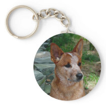 Cattle Dog Key Chains