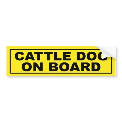 Cattle Dog on Board Bumper Stickers by RayBarnsbury