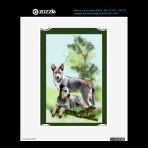 CATTLE DOG skins