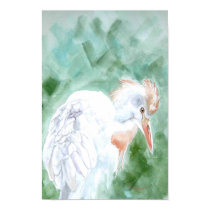 Cattle Egret posters